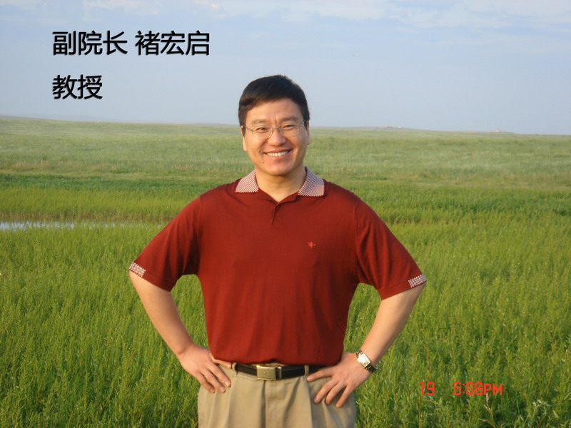 褚宏启.jpg